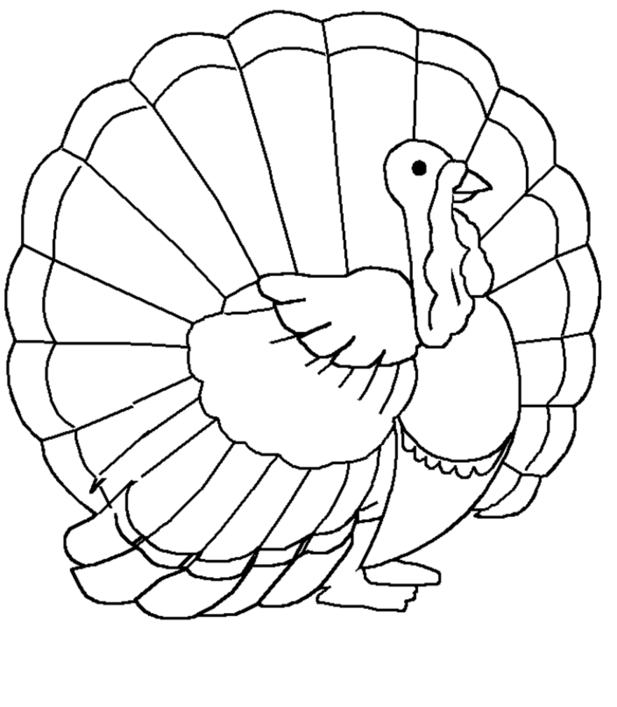 Coloriage d'une dinde avec plumes détaillées sur fond simple