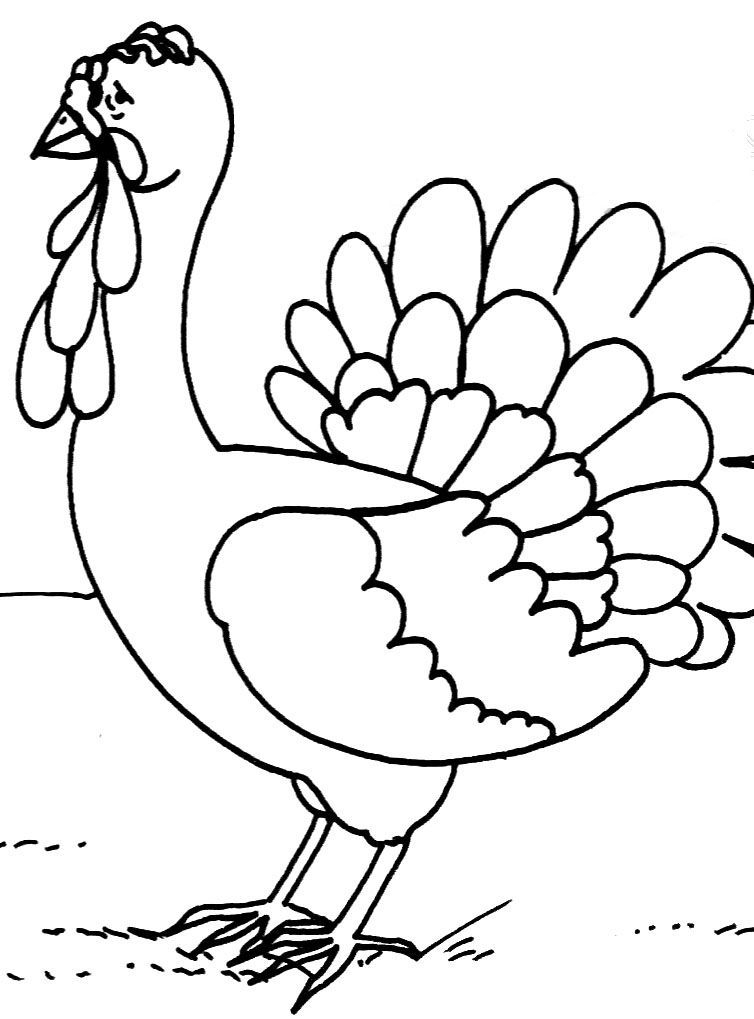 Coloriage d'une dinde en pleine nature