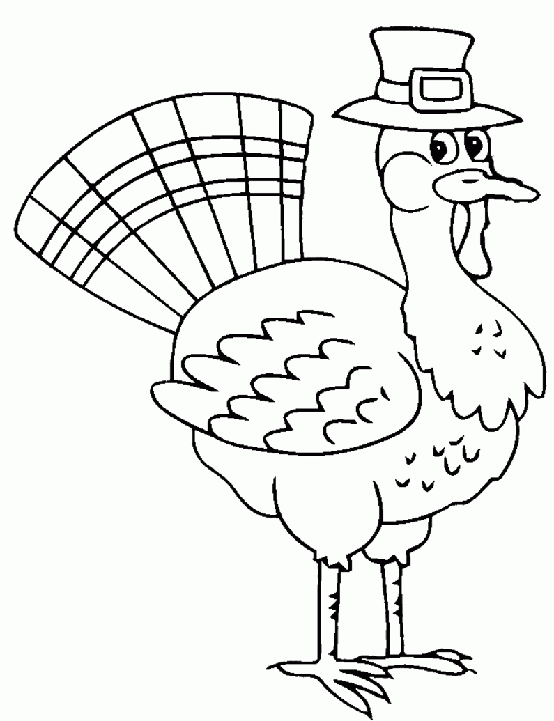Coloriage d'une dinde aux plumes ornées sur fond simple