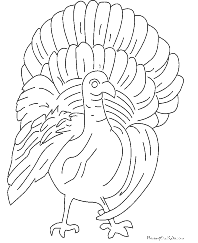 Coloriage d'une dinde en pleine nature