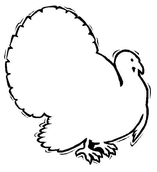 Coloriage d'une dinde aux plumes magnifique dans un cadre naturel
