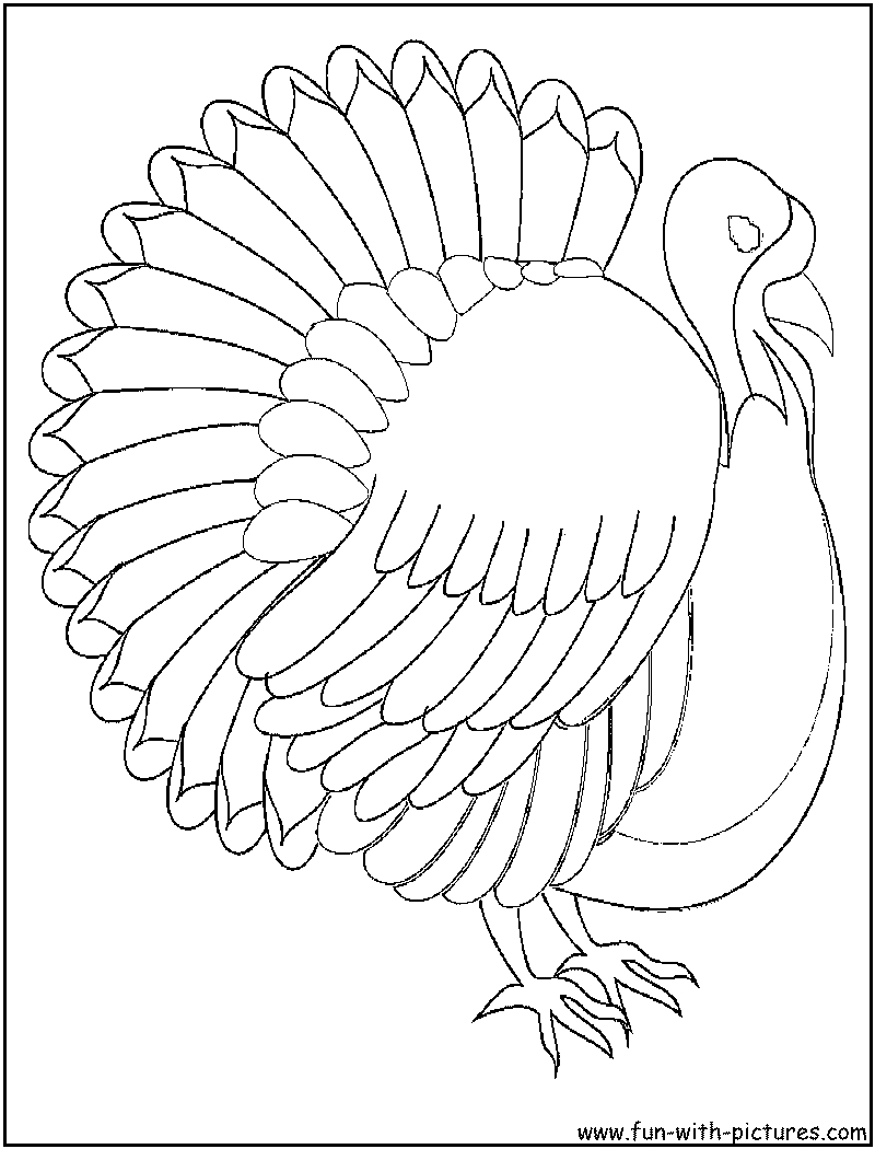 Coloriage d'une dinde en pleine nature