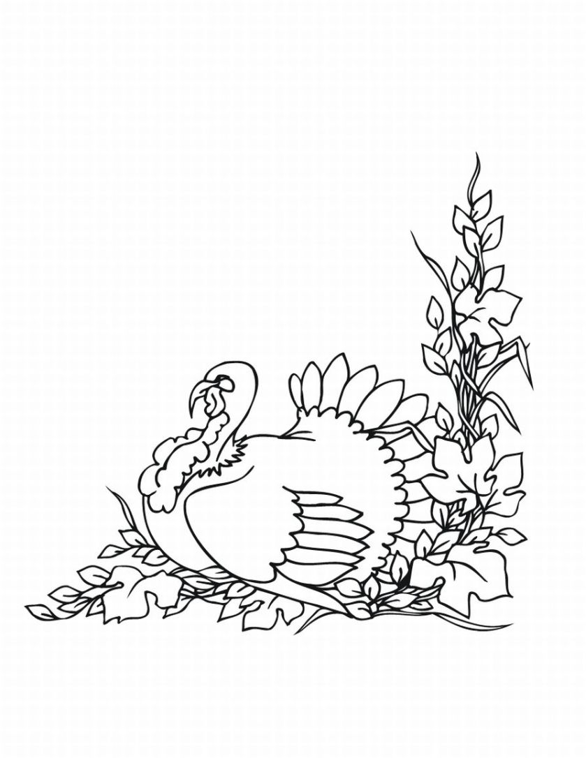 Coloriage d'une dinde festive entourée de décorations de Thanksgiving