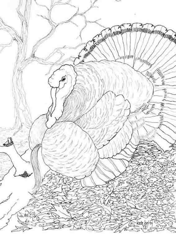 Coloriage d'une dinde en pleine nature