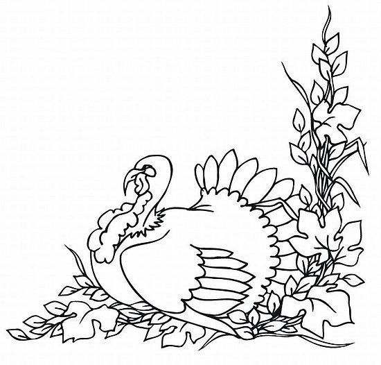 Coloriage d'une dinde en pleine parade avec un décor automnal