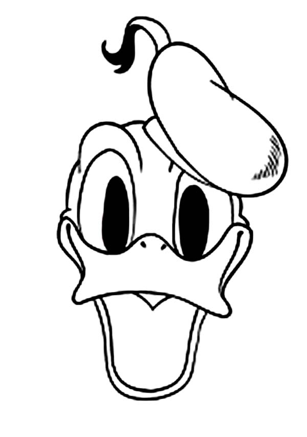 Donald Duck en pleine aventure avec son chapeau de marin
