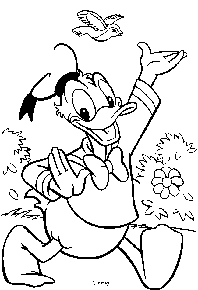 Donald Duck en pleine activité de pêche au bord de l'eau