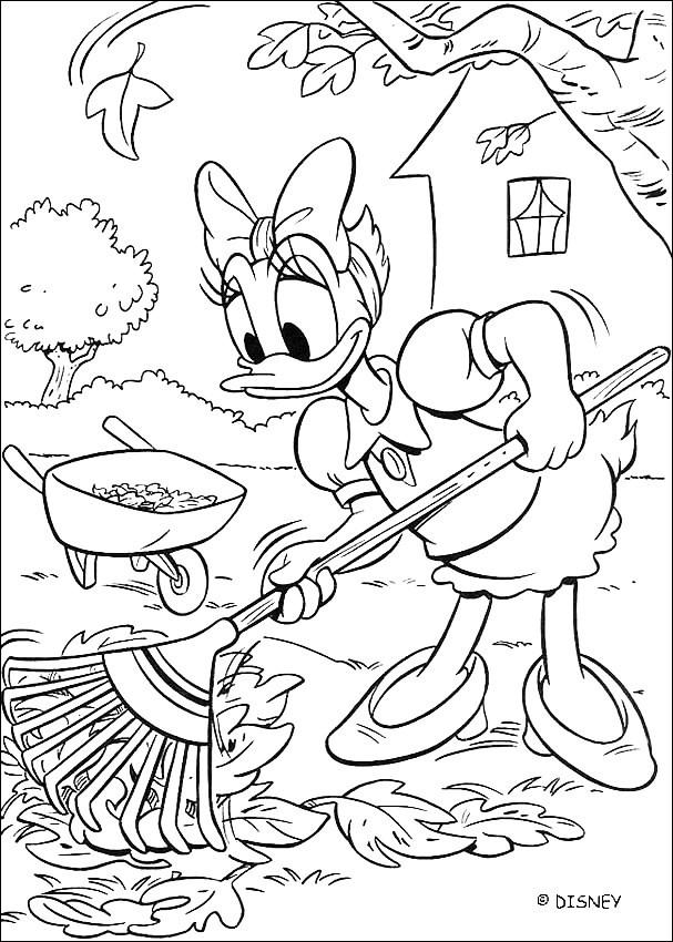 Donald Duck souriant avec un arrière-plan simple