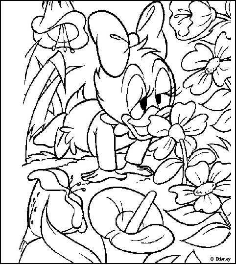 Donald Duck en pleine activité dans un décor joyeux