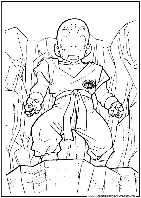 Goku en pleine action avec son Kamehameha dans un décor dynamique