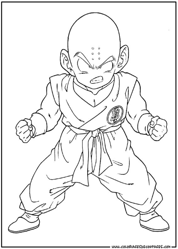 Goku en plein combat avec un puissant adversaire sur un fond de paysage de Dragon Ball Z