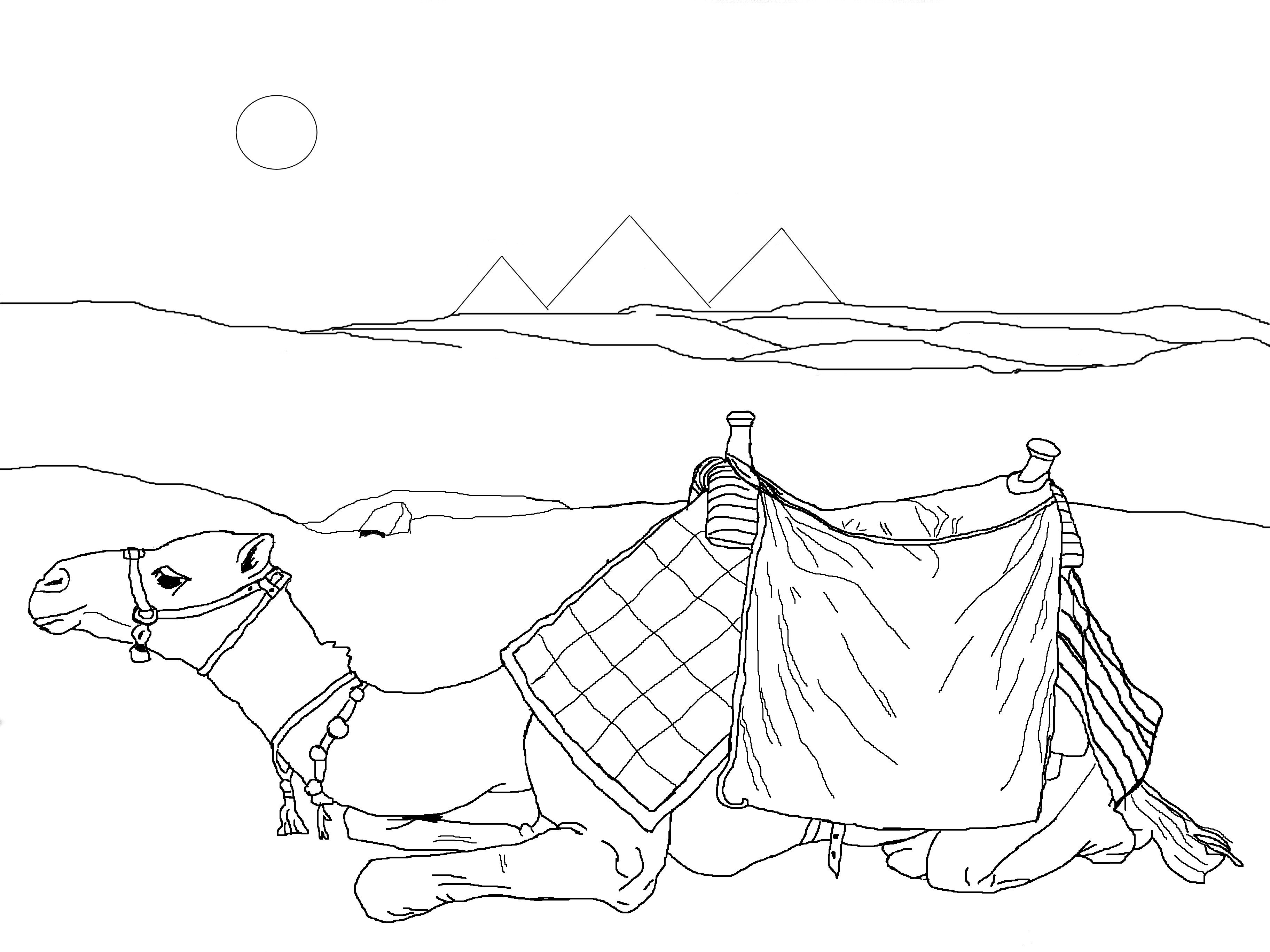 Coloriage d'un dromadaire marchant dans le désert
