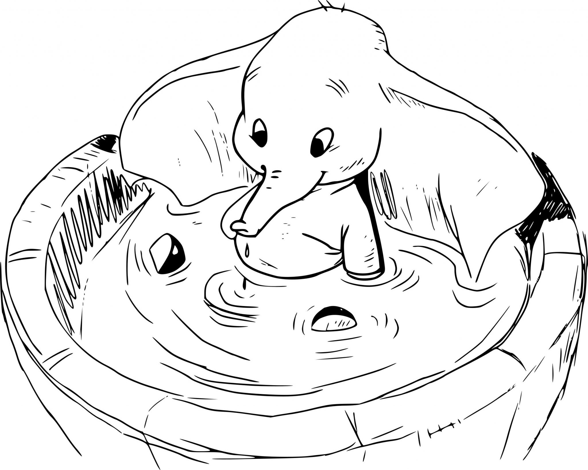 Dumbo en pleine aventure avec ses grandes oreilles dans un décor naturel