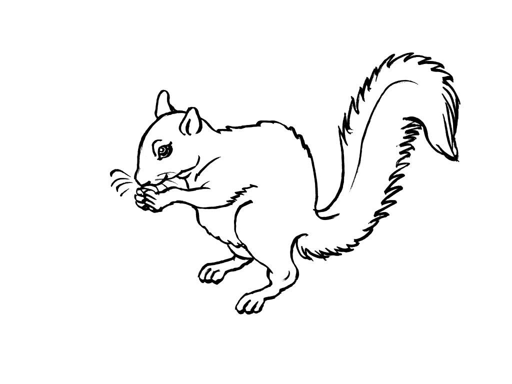 Un écureuil joyeux grignotant une noisette sous un arbre