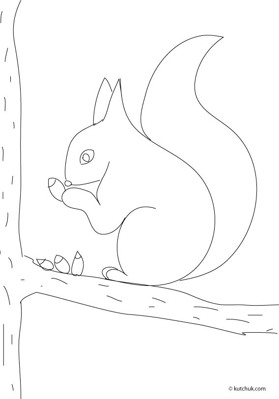 Un écureuil curieux sur une branche d'arbre