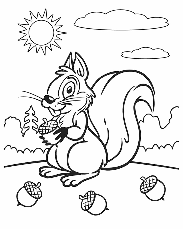 Un écureuil joyeux au cœur de la nature