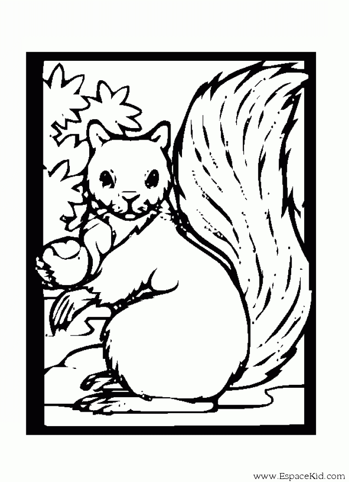 Un écureuil souriant grignotant une noisette sous un arbre