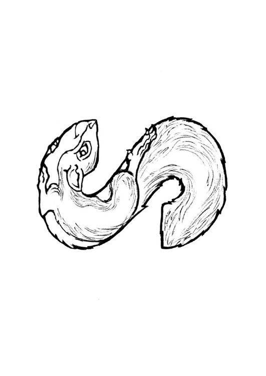 Un écureuil curieux sur une branche d'arbre