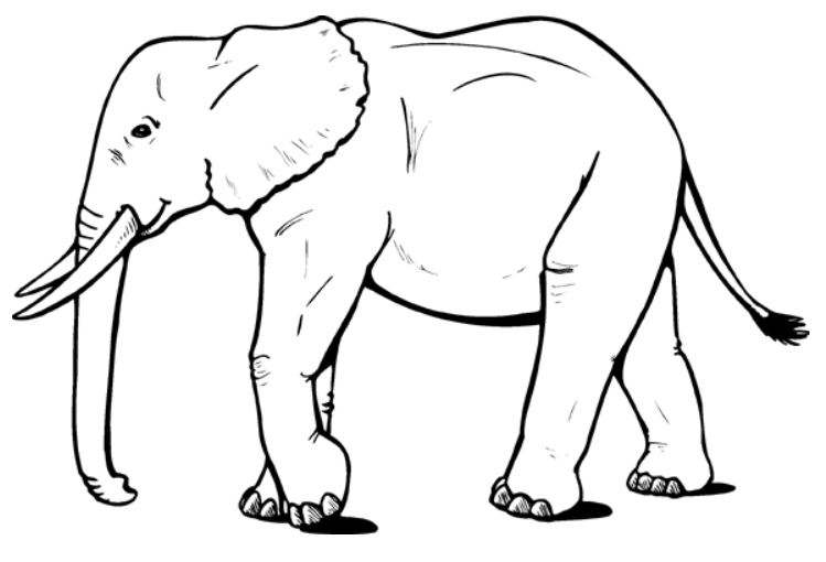 Un éléphant joyeux se tenant au milieu d'une savane
