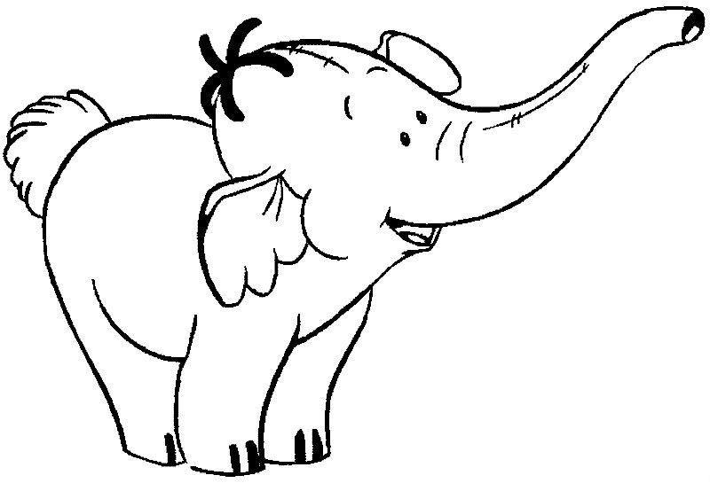 Éléphant joyeux sur un fond naturel