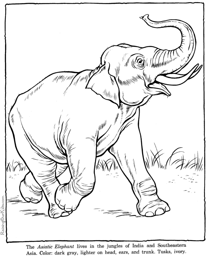 Éléphant se tenant debout sur un sol herbeux sous un ciel nuageux