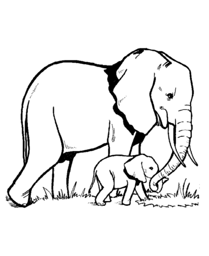 Un éléphant joyeux se promenant dans la savane