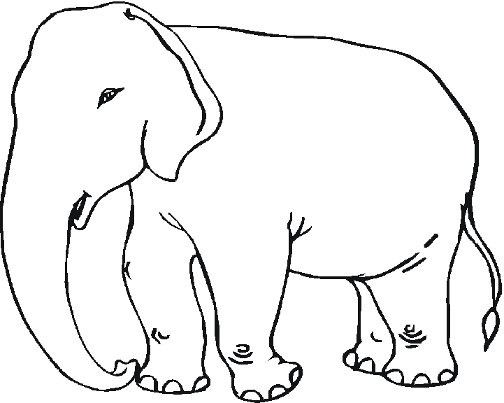 Un éléphant se balançant sous un arbre dans un paysage simple