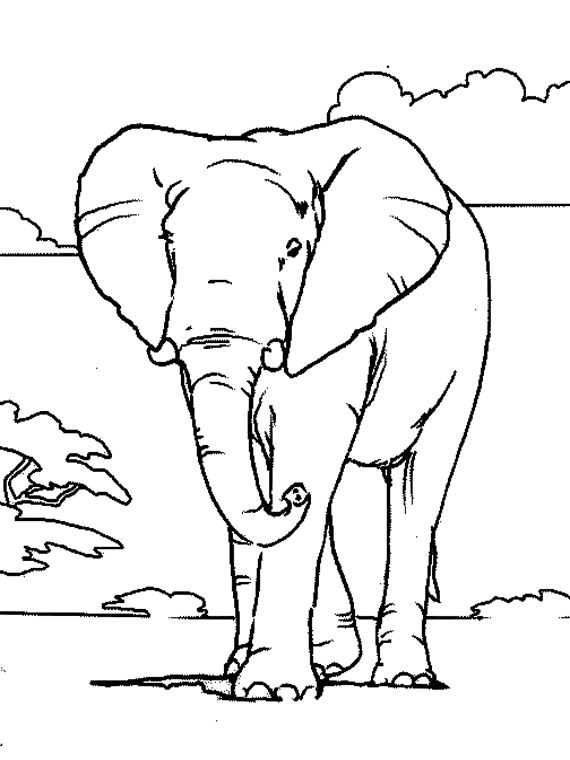 Éléphant jouant dans un paysage naturel
