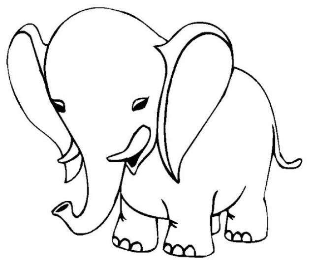 Éléphant en train de marcher dans la savane