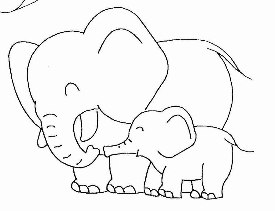 Un éléphant joyeux dans son environnement naturel