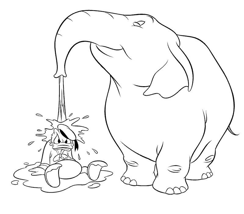 Un éléphant majestueux au milieu de la savane