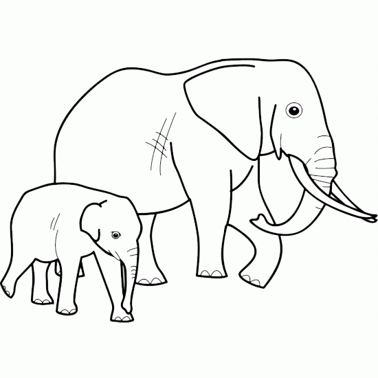 Un éléphant joyeux se promenant dans un paysage naturel