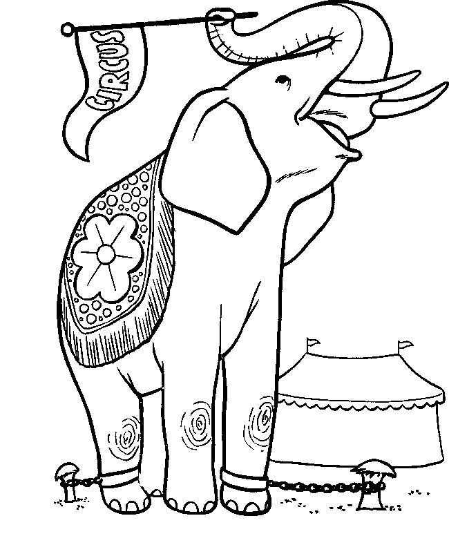 Éléphant joyeux se promenant dans la savane