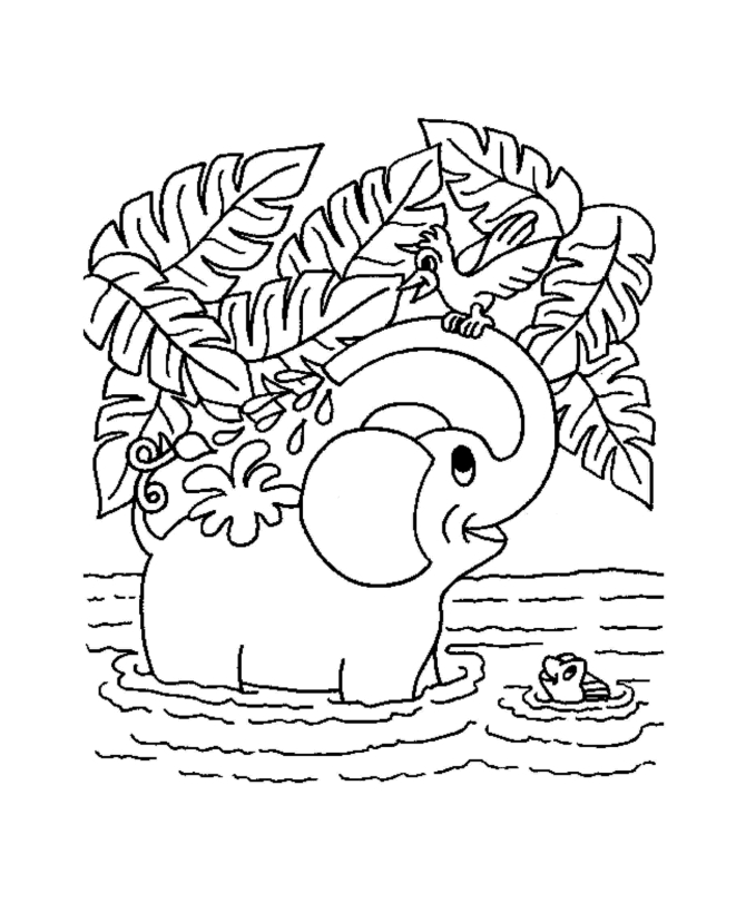Éléphant en pleine marche au milieu de la savane