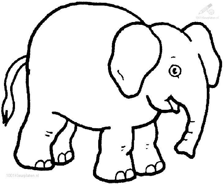 Éléphant se reposant sous un arbre dans la savane