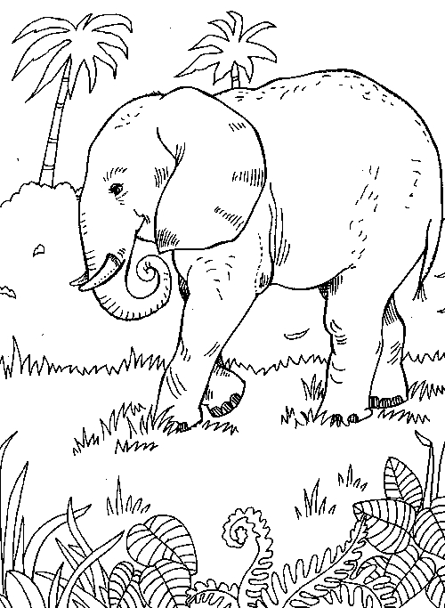 Un éléphant paisible se reposant sous un arbre