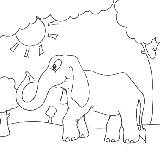 Un éléphant joyeux au milieu de la nature