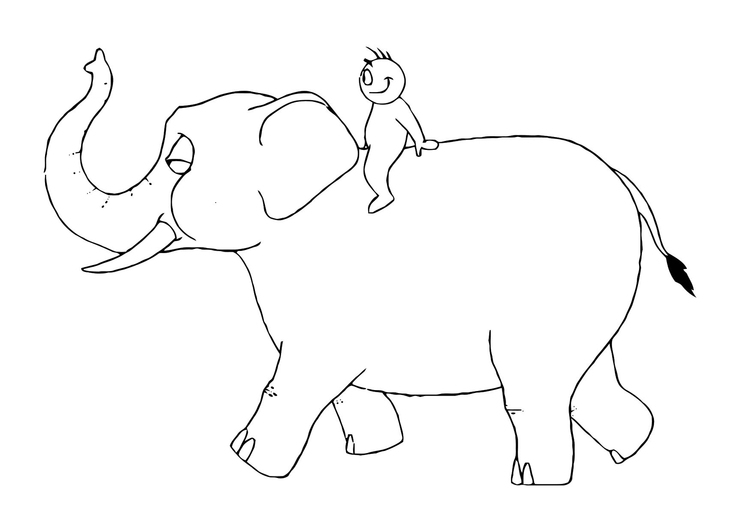 Un éléphant majestueux dans un paysage naturel