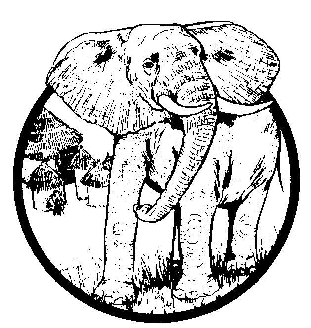 Éléphant joyeux dans un décor naturel