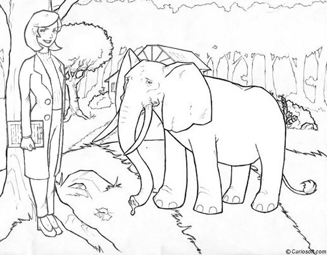 Éléphant joyeux dans un décor naturel
