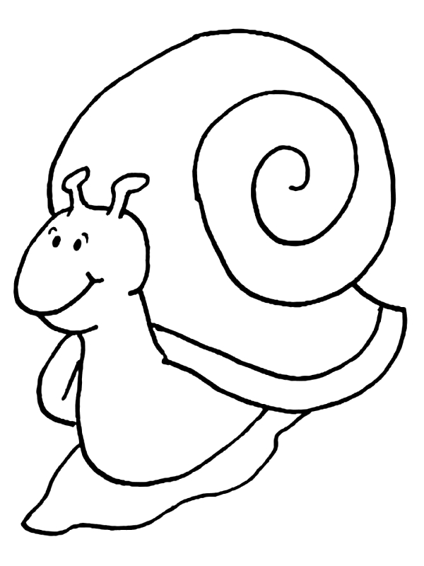 Un escargot se déplace paisiblement sur un chemin de campagne