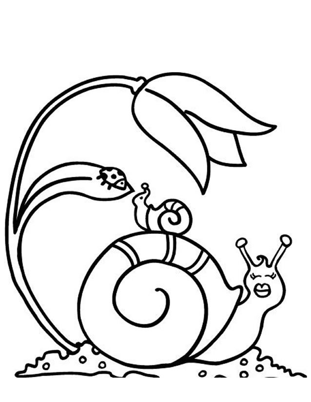 Un escargot sur un fond de nature à colorier