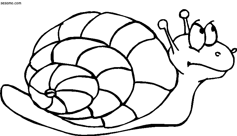 Un escargot se promène paisiblement sur un fond de nature