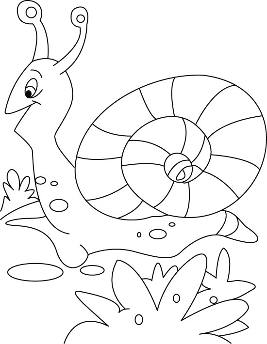 Un escargot paisible sur un chemin de verdure