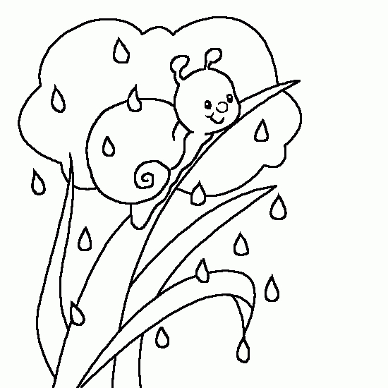 Un escargot se déplace sur une feuille verte