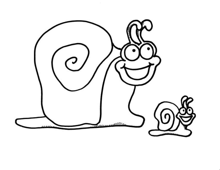 Coloriage d'un escargot sur une feuille