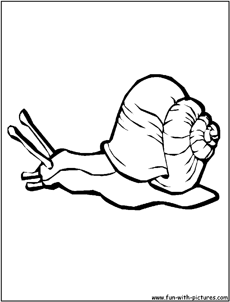 Un escargot sur un chemin de campagne