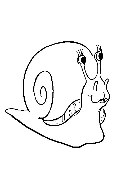 Un escargot se promène sur un chemin sinueux