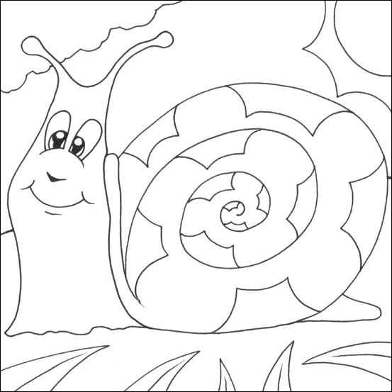 Un escargot paisible sur un chemin fleuri