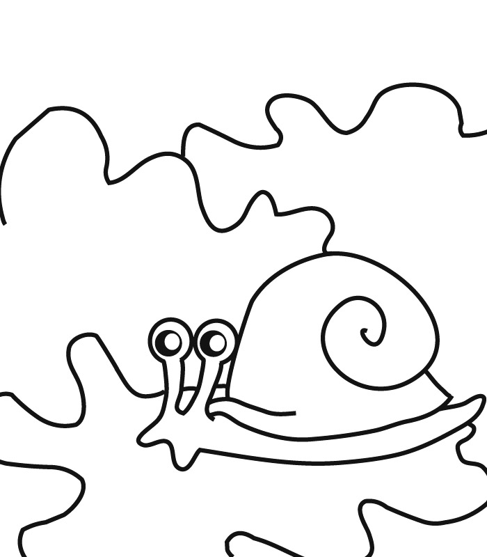 Un escargot joyeusement enroulé sur une feuille